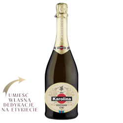 Prosecco Martini 750 ml, alk. 11,5% - Kolekcja Premium w Jasnoróżowej Tubie