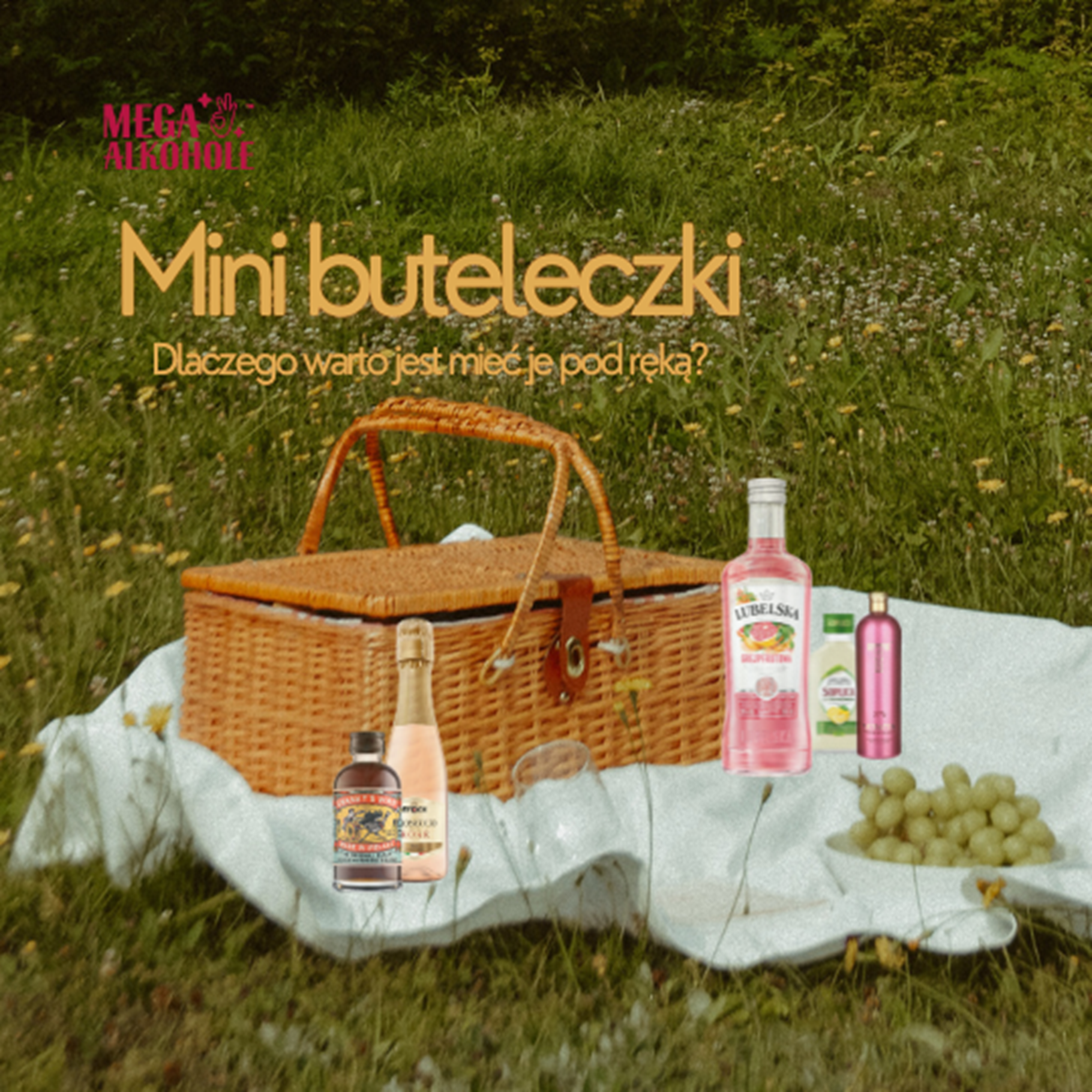 Mini buteleczki alkoholu – idealne na torty, prezenty i degustacje